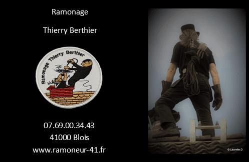 Logo THIERRY BERTHIER (RAMONAGE THIERRY BERTHIER)